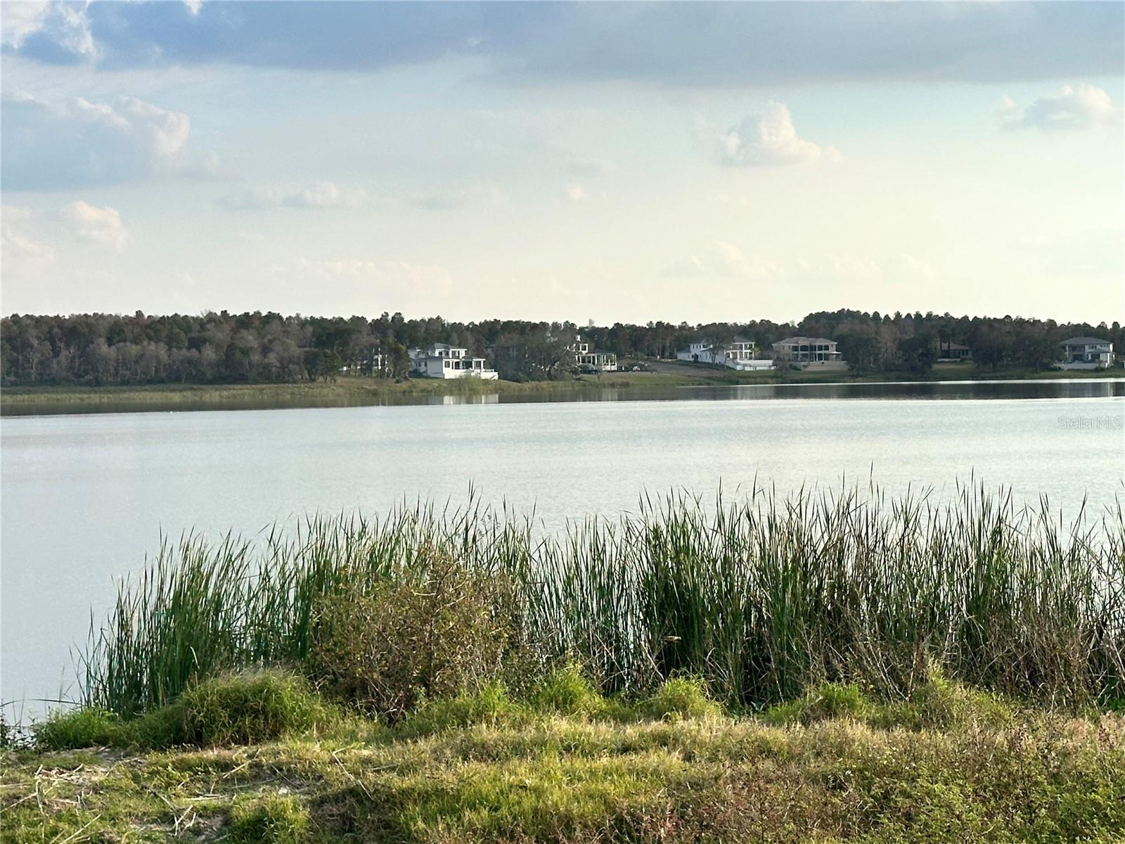 BELLA COLLINA EAST SUB - Land