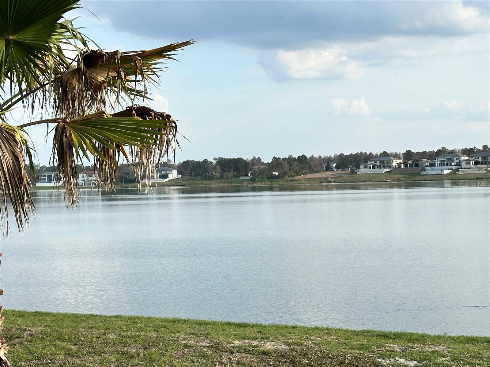 BELLA COLLINA EAST SUB - Land