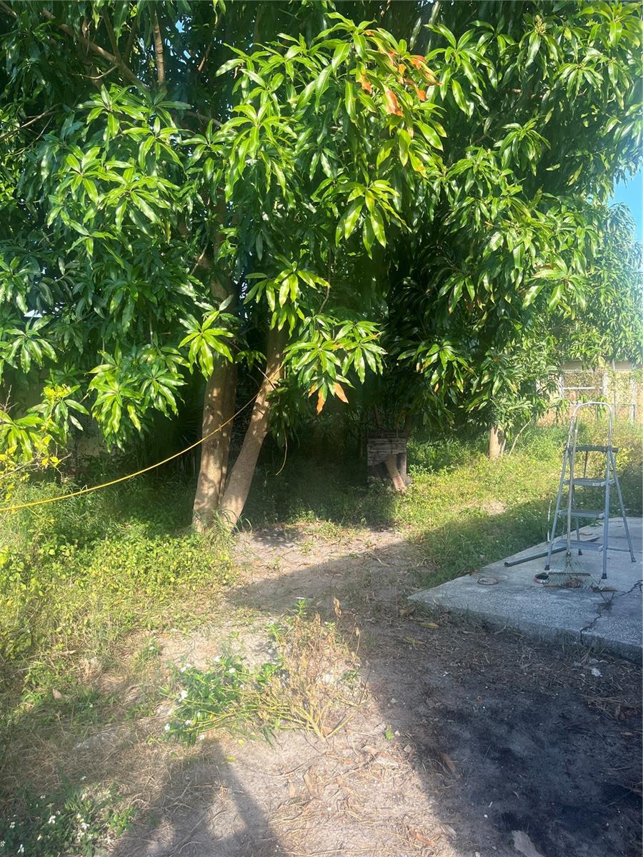 EVANS VILLAGE - Residential