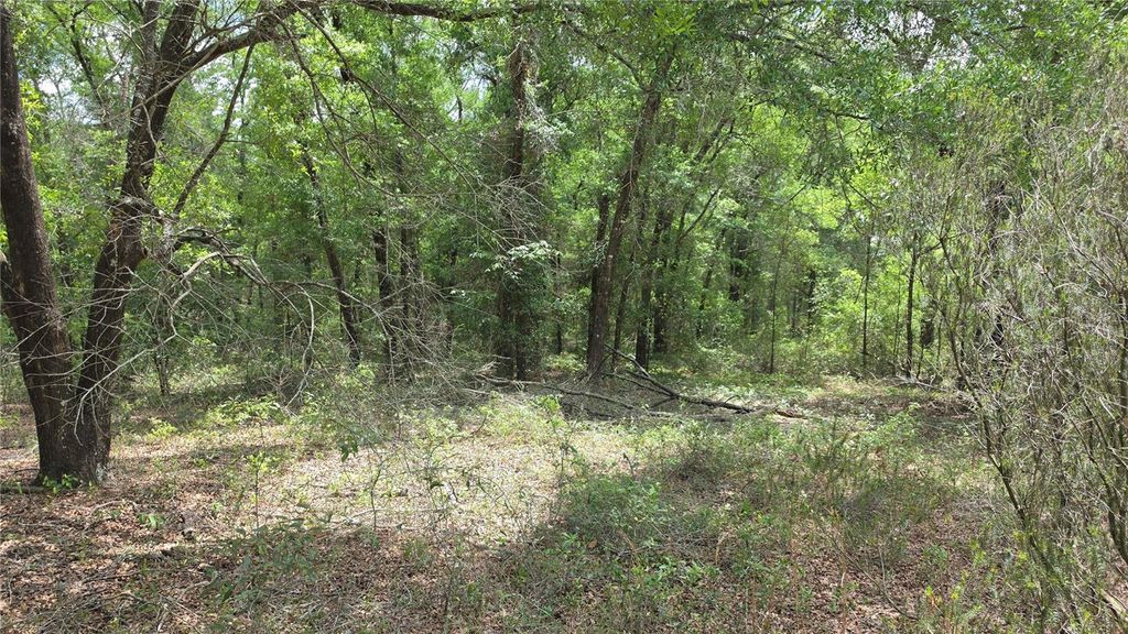 Photo of SE 81 Place, Trenton, FL 32693 (MLS # R4911149)
