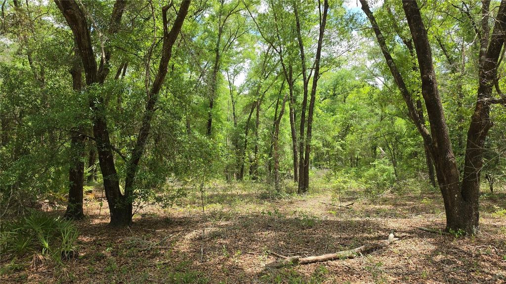 Photo of SE 81 Place, Trenton, FL 32693 (MLS # R4911149)