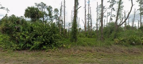 3703 E 9TH STREET LEHIGH ACRES FL 33972