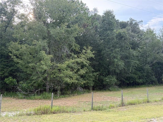 NE-32 PL, HIGH SPRINGS, FL 32643 - Image f4bf38e3e01eaa43e162d36f7f3dc3bb/2104248964
