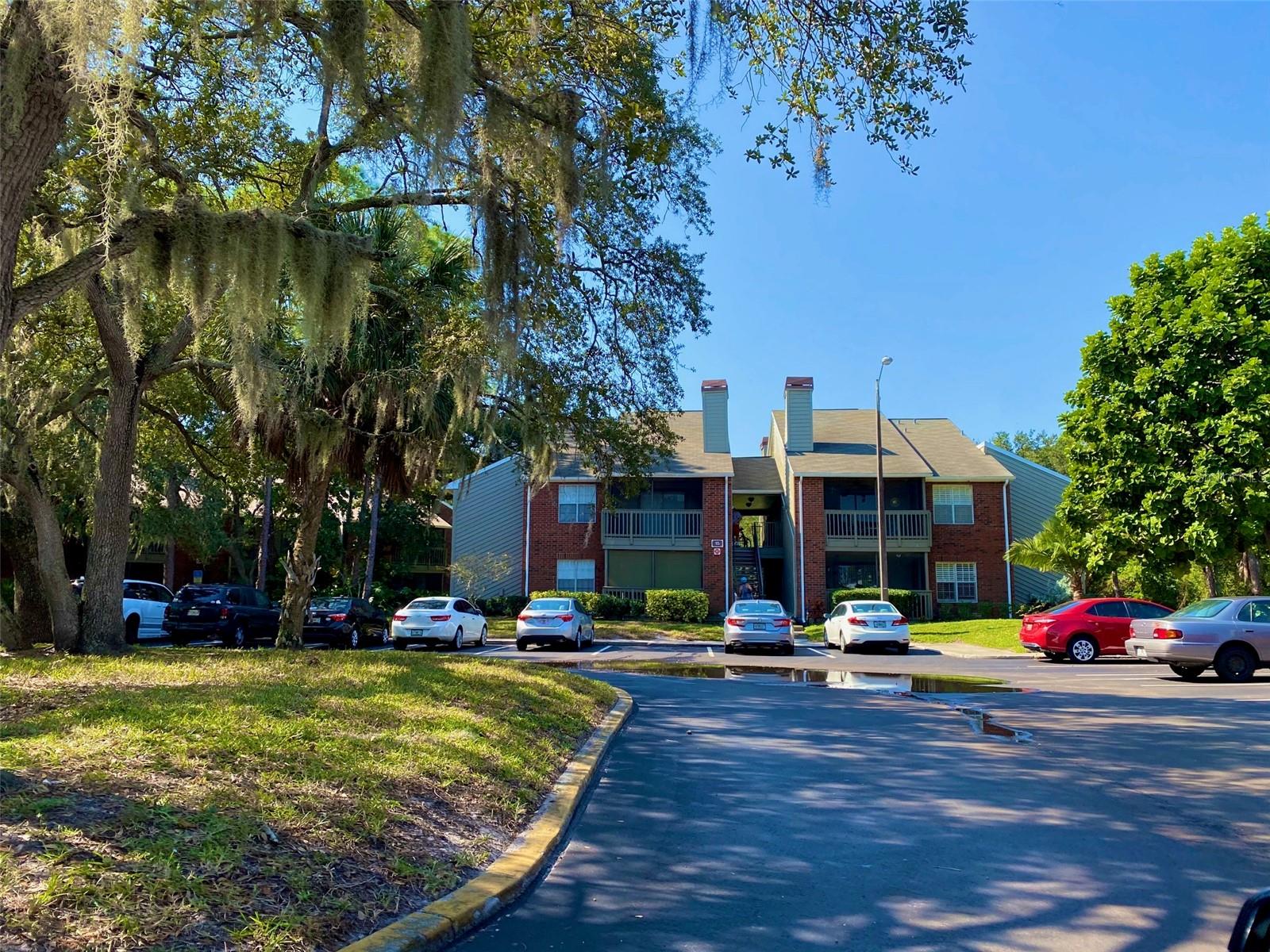 Available September 1st.
An awesome Gated community with pool and Gym access, Tennis courts too. A 2-bedroom, Stainless Steel appliances with New Luxury Vinyl Plank flooring throughout. The condo is very convenient on the ground floor with a large screened patio deck with a privacy hedge. This setting is quiet and idyllic with established trees and landscaping. Great for Bike riding. The enclave of St. Petersburg is a condominium, requiring a 2nd application. Condo unit # 1505 has an initial application. The agent will pre-screen all applicants by phone before showing as a convenience to all. Tenant pays all Utilities, Electric, Internet/cable, and Water. Open parking with plenty of parking, Community Pool, Minutes to Gandy Blvd., Near I- 275, Shopping, Restaurants. Centrally located in Pinellas with great access to everything. I pet 35pd with references,
