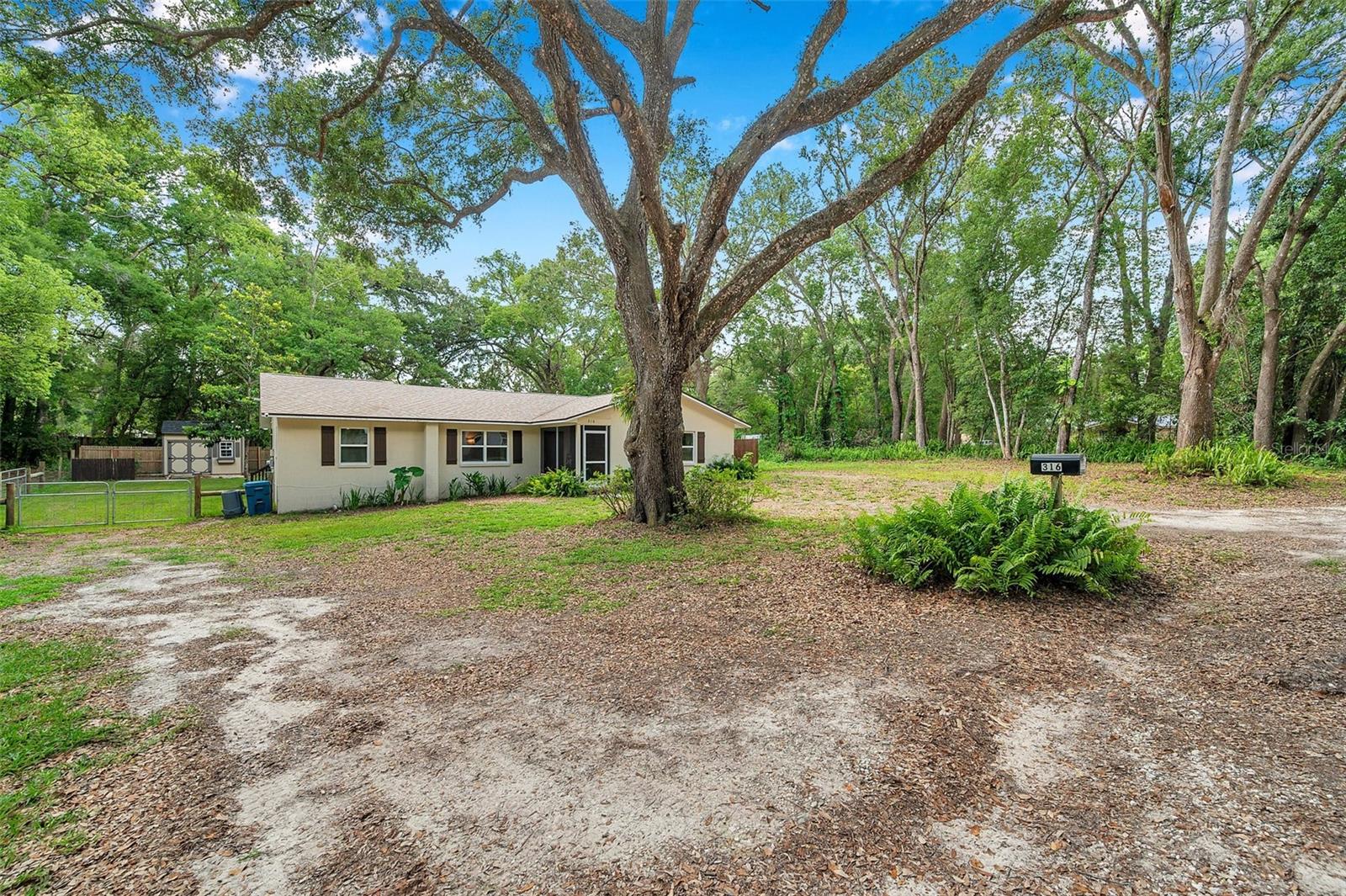 316 JENKINS AVENUE