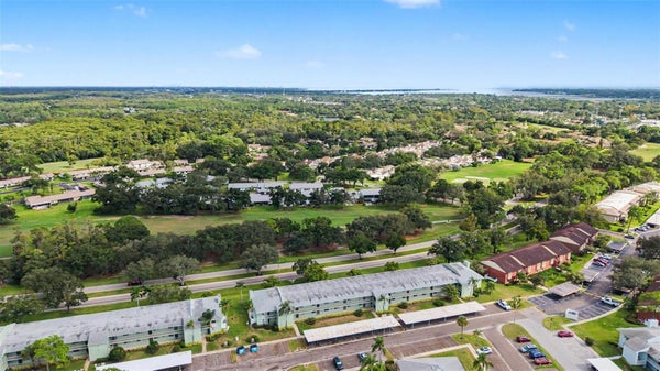 221 CARYL WAY # 221, OLDSMAR, FL 34677 - Image f4c42d43cd858266de4aeae35e5ef0a6/2287533847