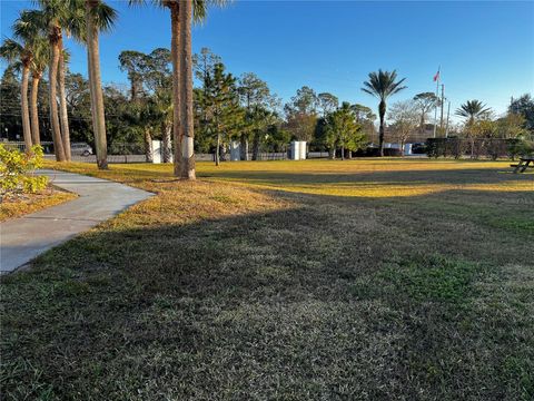 A home in PALM HARBOR