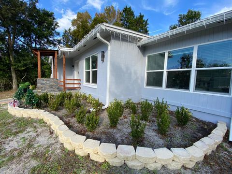 A home in DELTONA