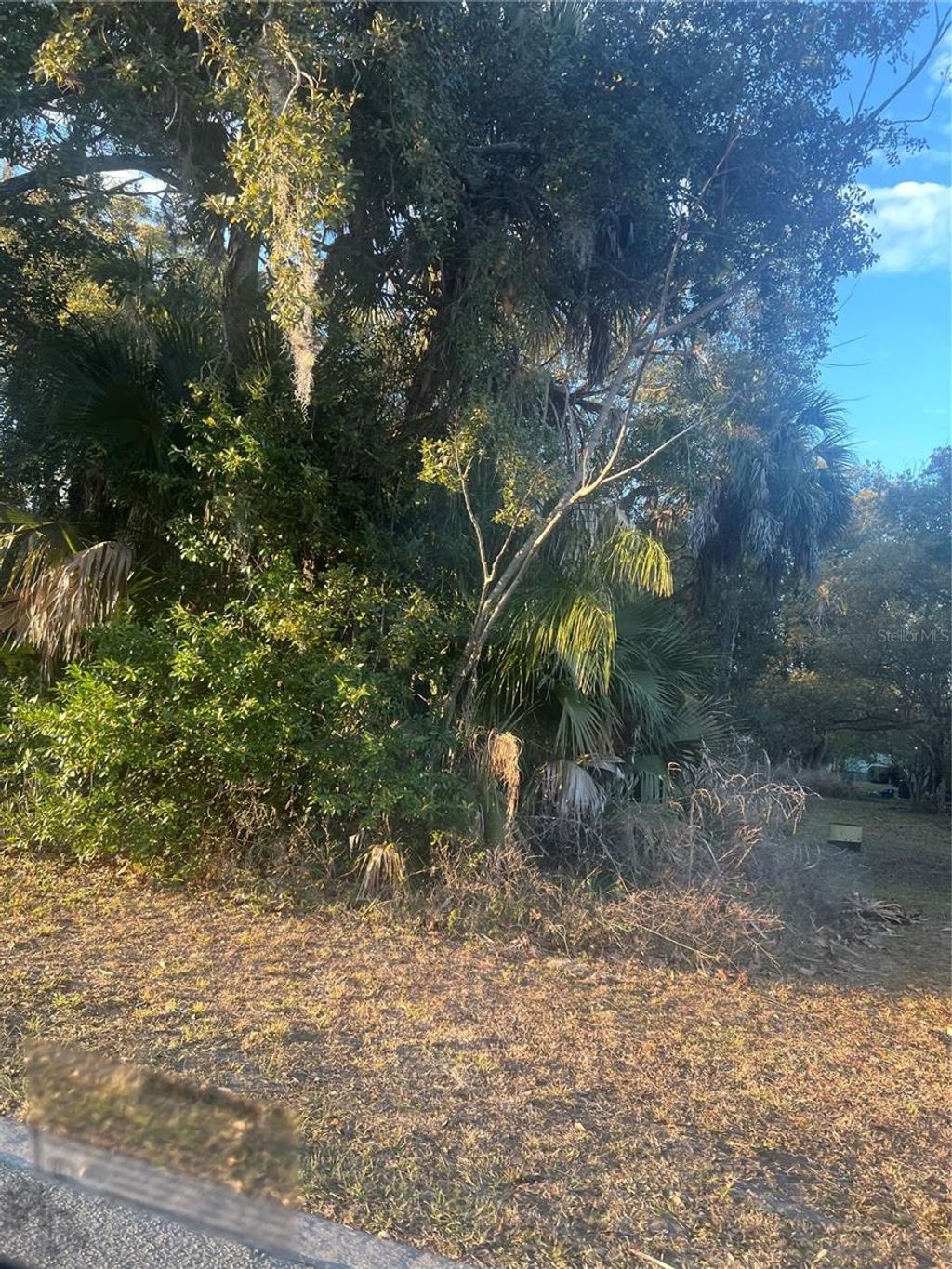 Photo of E Jackson Avenue, Mount Dora, FL 32757 (MLS # G5108158)
