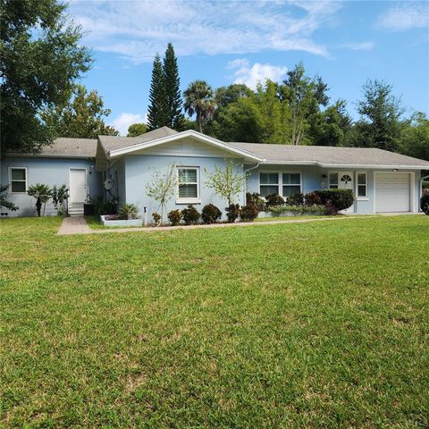 A home in MOUNT DORA