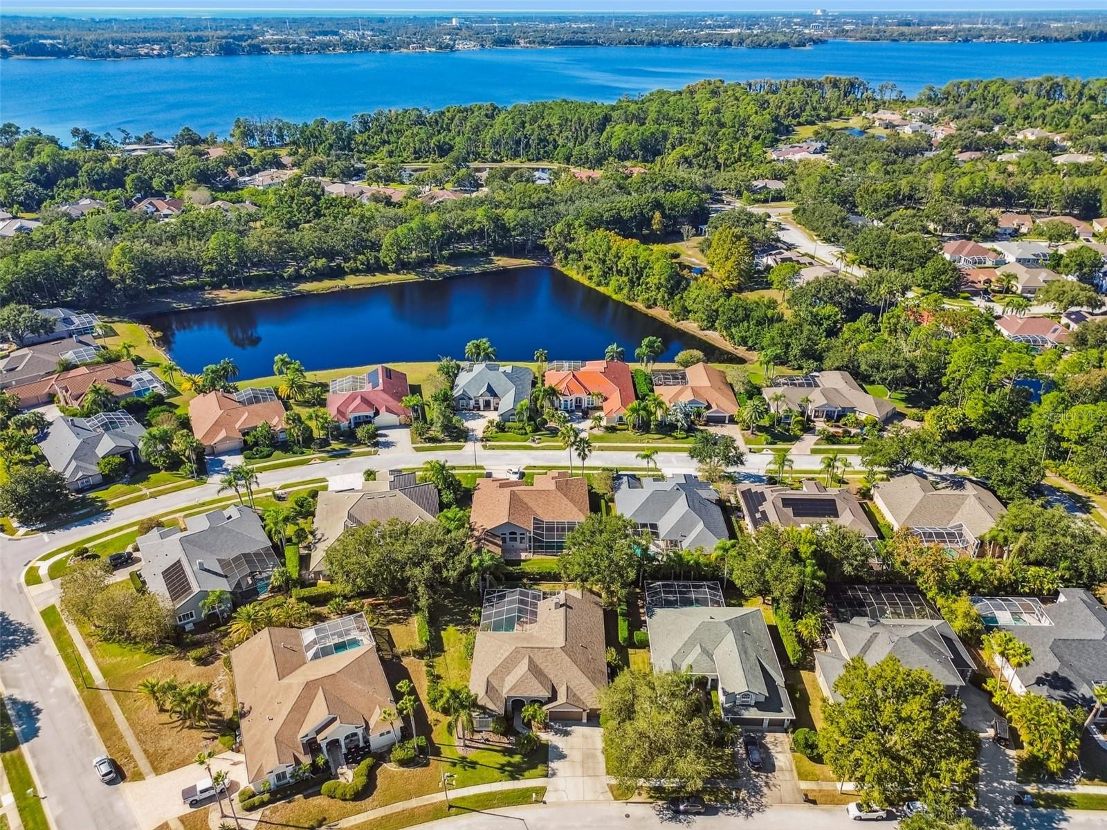 ROBINWOOD AT LANSBROOK - Residential