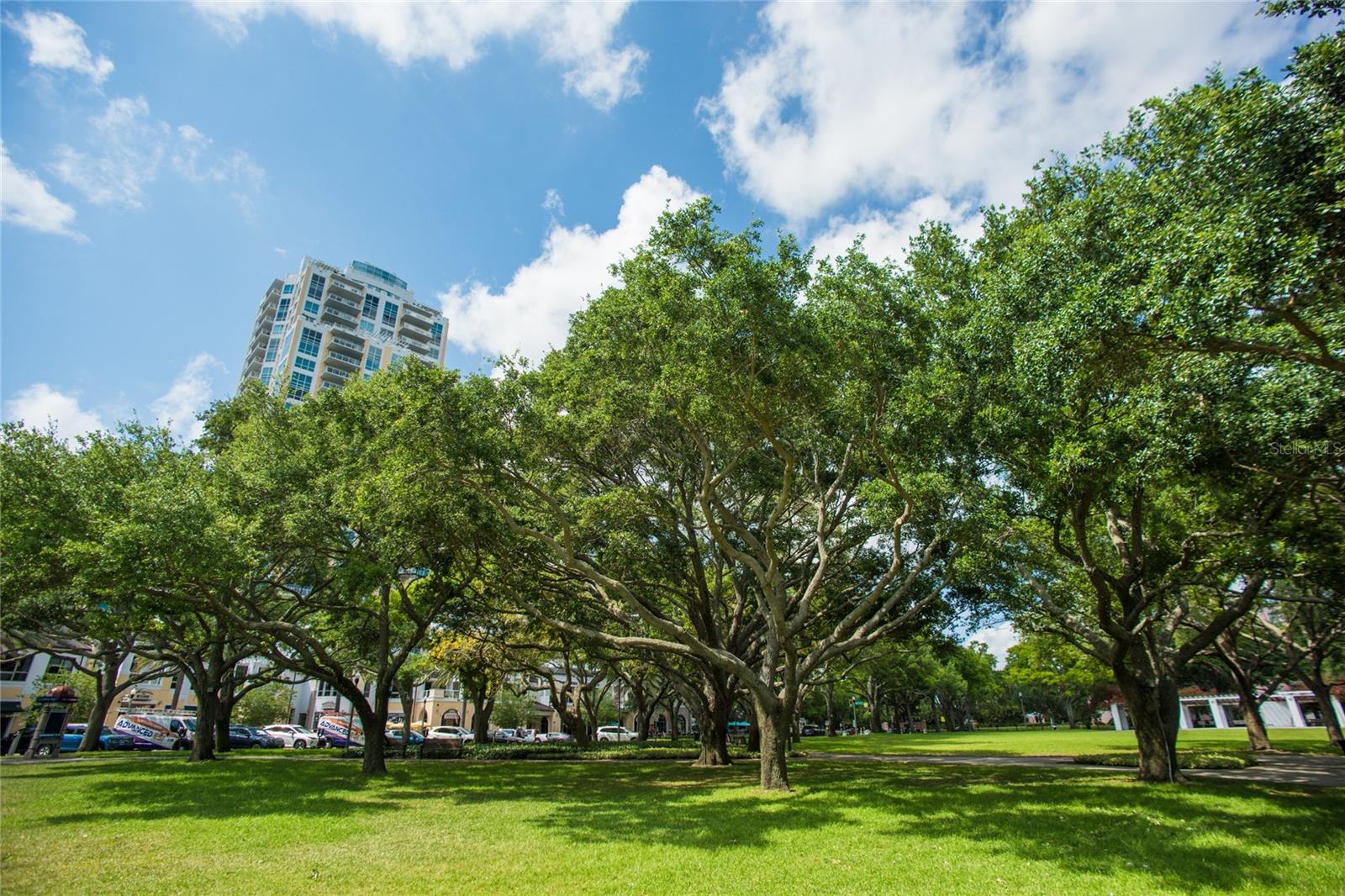 400 BEACH DRIVE CONDO - Residential