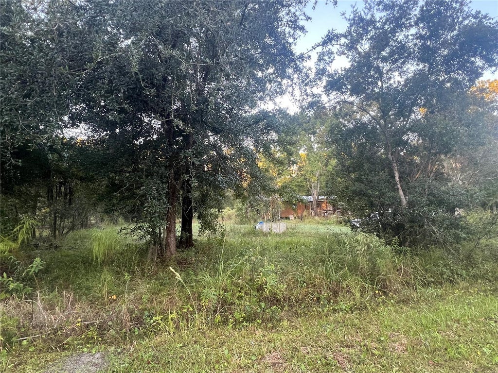 Photo of 1696 Rosewood Street, Bunnell, FL 32110 (MLS # FC322340)