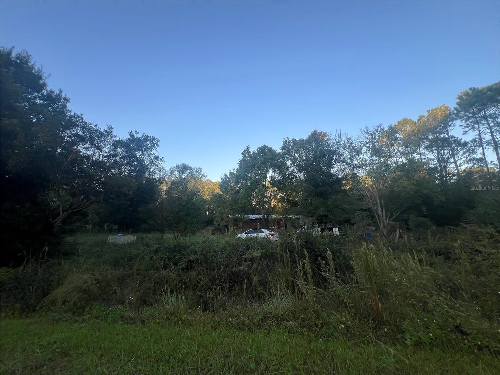 Photo of 1696 Rosewood Street, Bunnell, FL 32110 (MLS # FC322340)