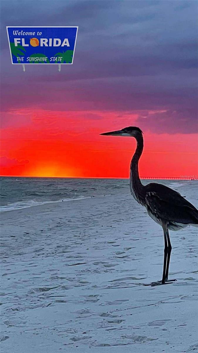 MIRADA ACTIVE ADULT PH 1A 1C - Residential