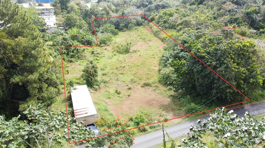 One or more photo(s) has been virtually staged. Investment opportunity in Aguas Buenas.
1.268 "cuerdas" of land, mostly flat topography, a rare and highly desirable find, ready to be developed. It has an R-1 classification. Excellent for country lovers but accessible to the city. Near the land, there are grocery stores, restaurants, main roads, and more. It currently has a structure for keeping horses. Contact now for more information and to schedule an appointment.