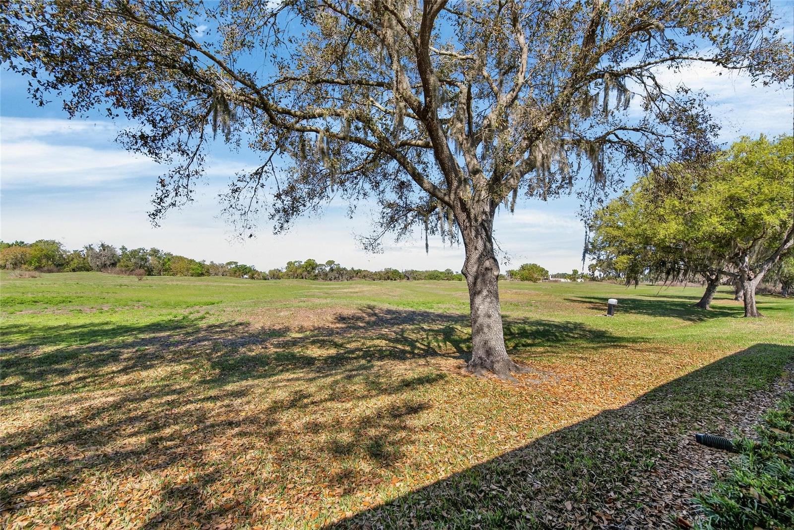 EAGLE GREENS CONDO - Residential