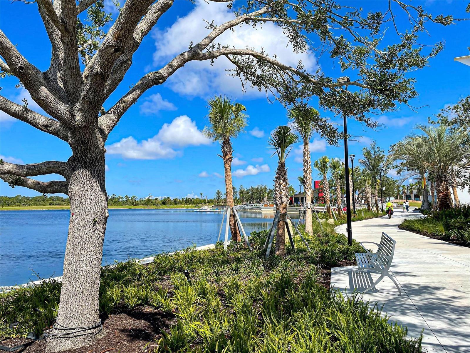 STONEYWOOD COVE - Residential