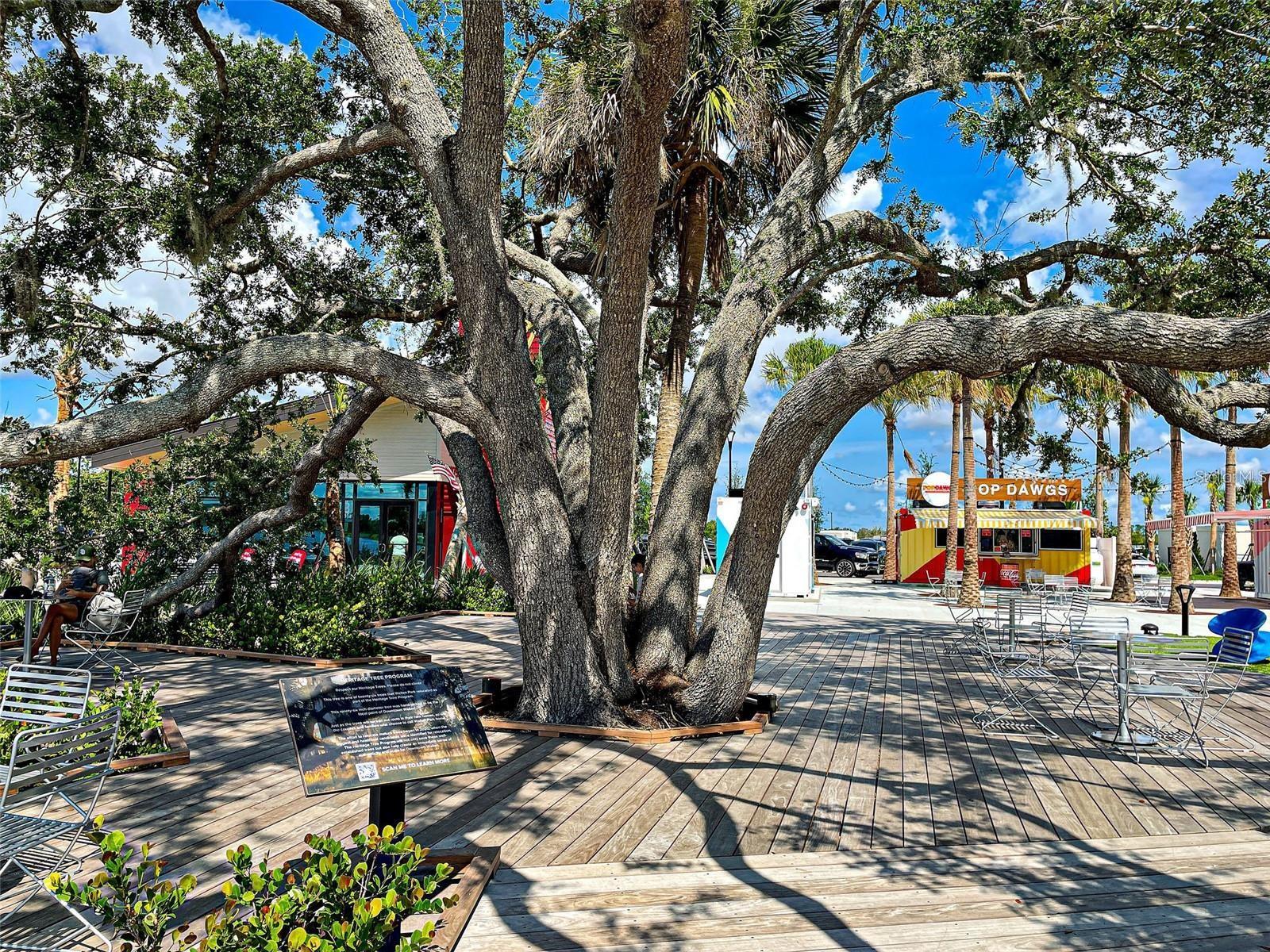 STONEYWOOD COVE - Residential