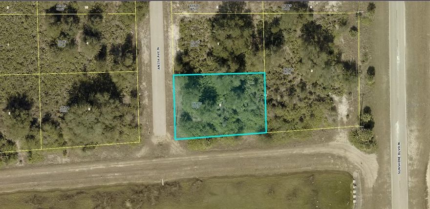 A VACANT LOT IN LEHIGH ACRES IN LEE COUNTY!!!