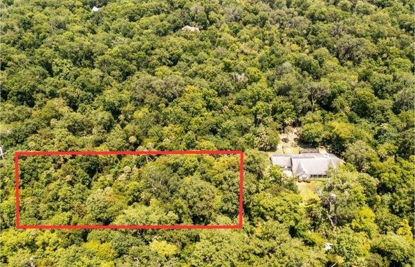 SHADY PALM COVE, OVIEDO, FL 32765 - Image f4f791645cf3c59aaff8fab87c1932ae/2240896972