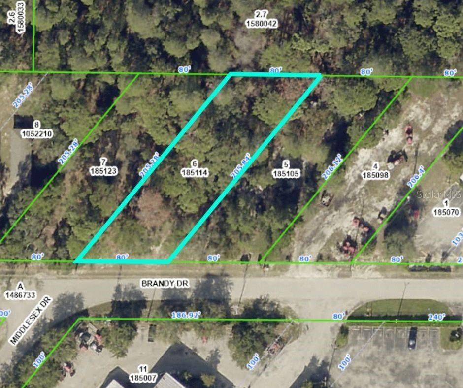 WEEKI WACHEE ACRES - Land