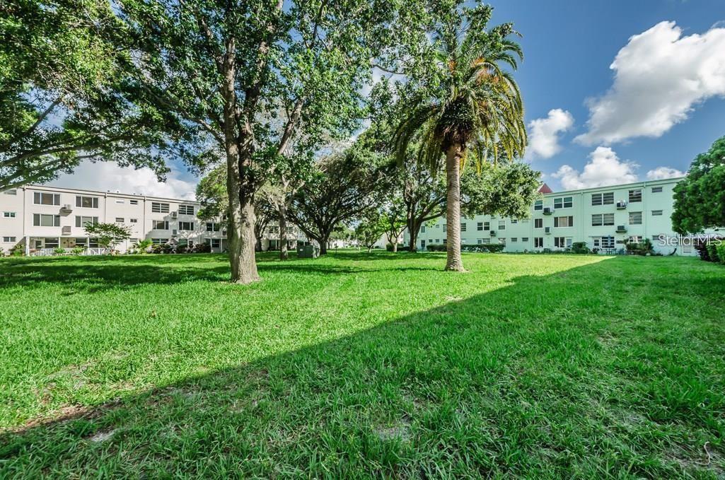 ON TOP OF THE WORLD - Residential Lease