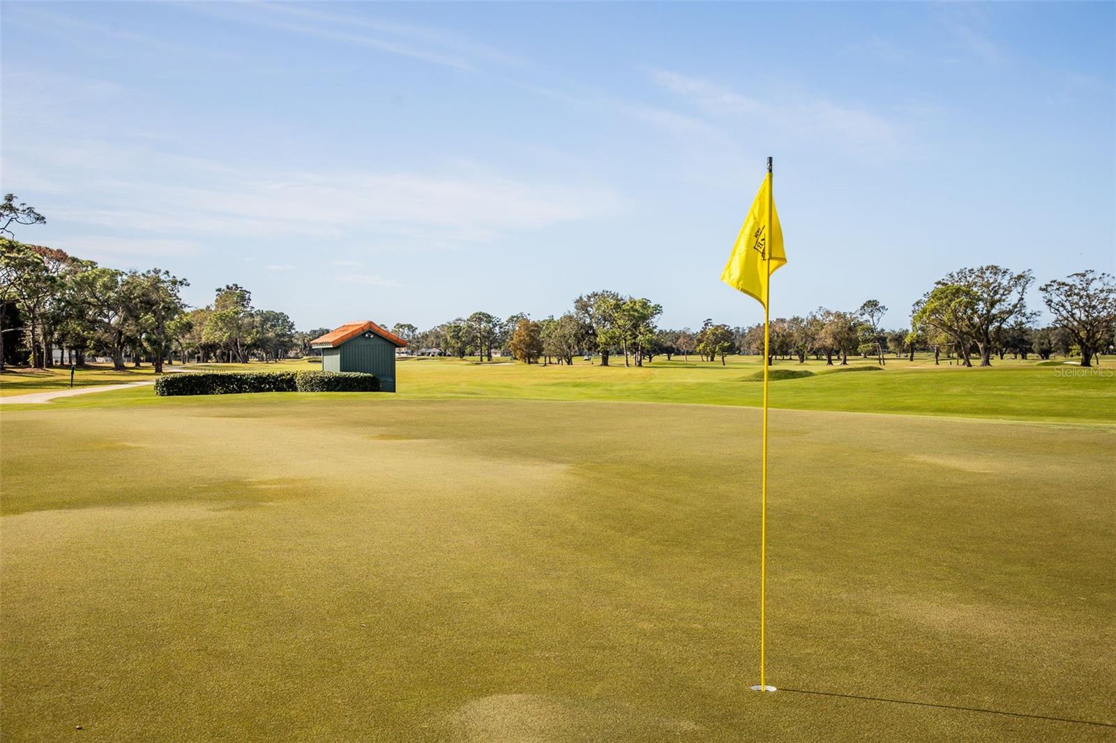 WHITFIELD ESTATES - Residential