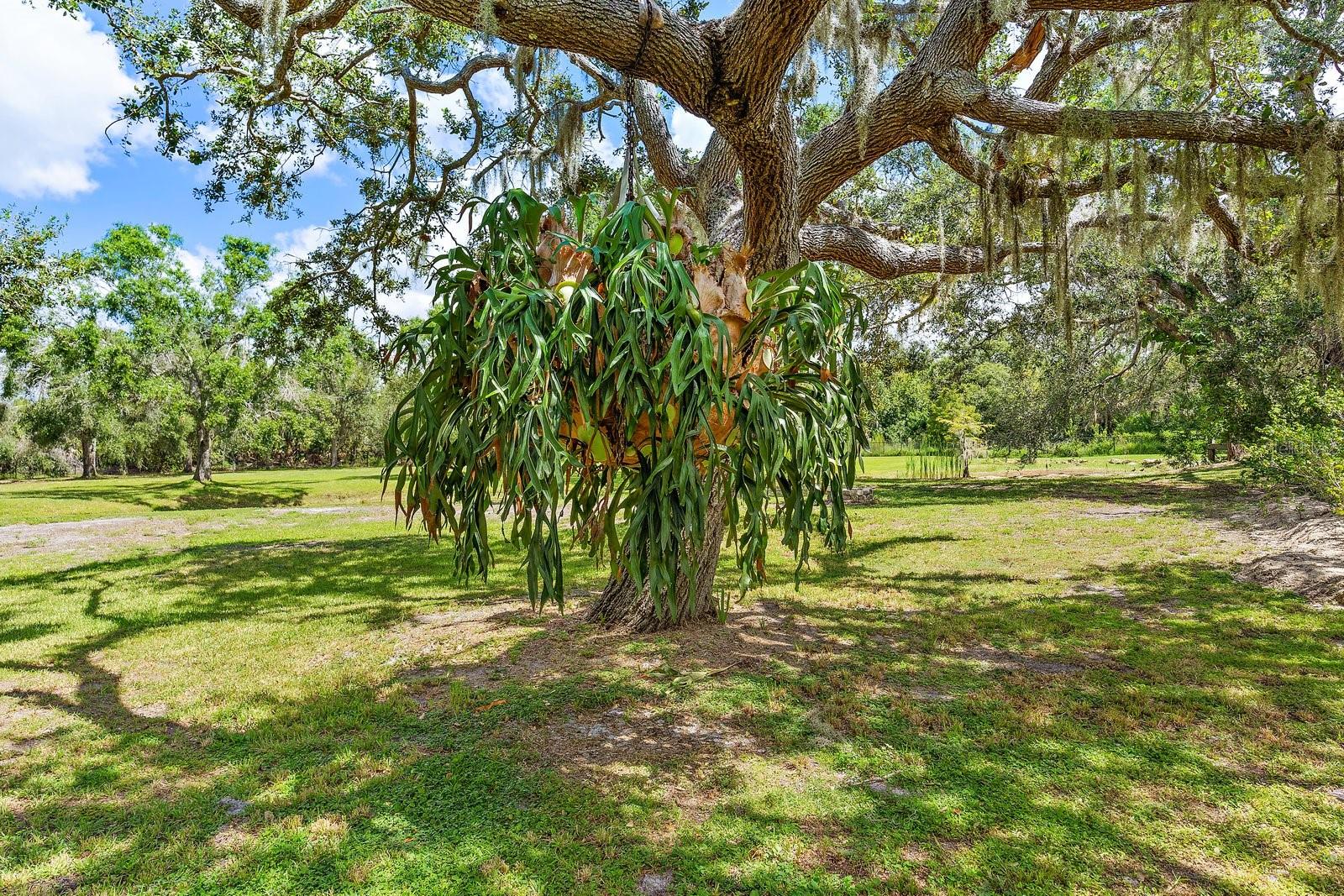 SORRENTO RANCHES - Residential