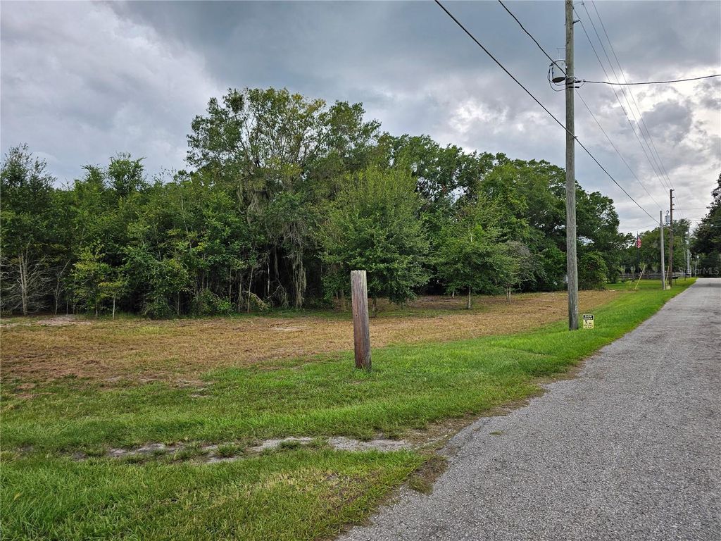 Photo of 00 Carson Dr,, Land O Lakes, FL 34639 (MLS # T3552977)