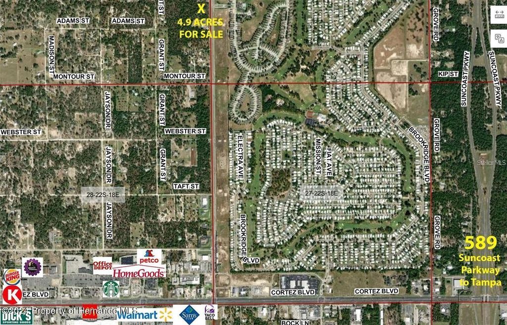 Photo of Sunshine Grove Road, Brooksville, FL 34613 (MLS # W7884497)