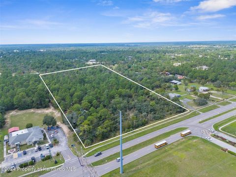 SUNSHINE GROVE ROAD BROOKSVILLE FL 34613