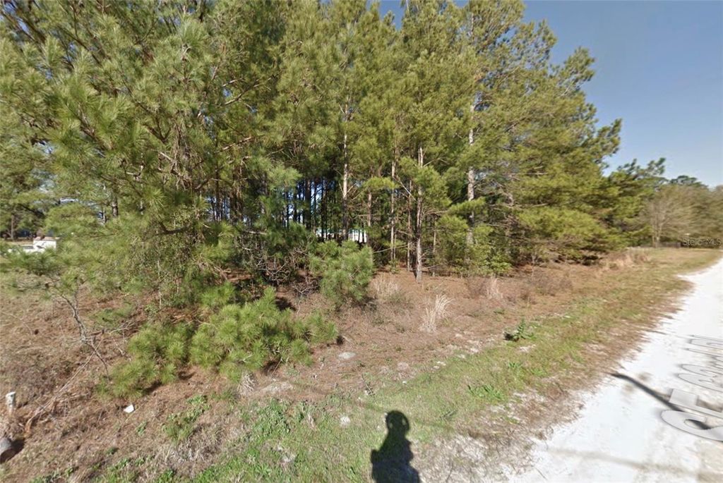 Photo of SE 63rd Place, Morriston, FL 32668 (MLS # O6364322)