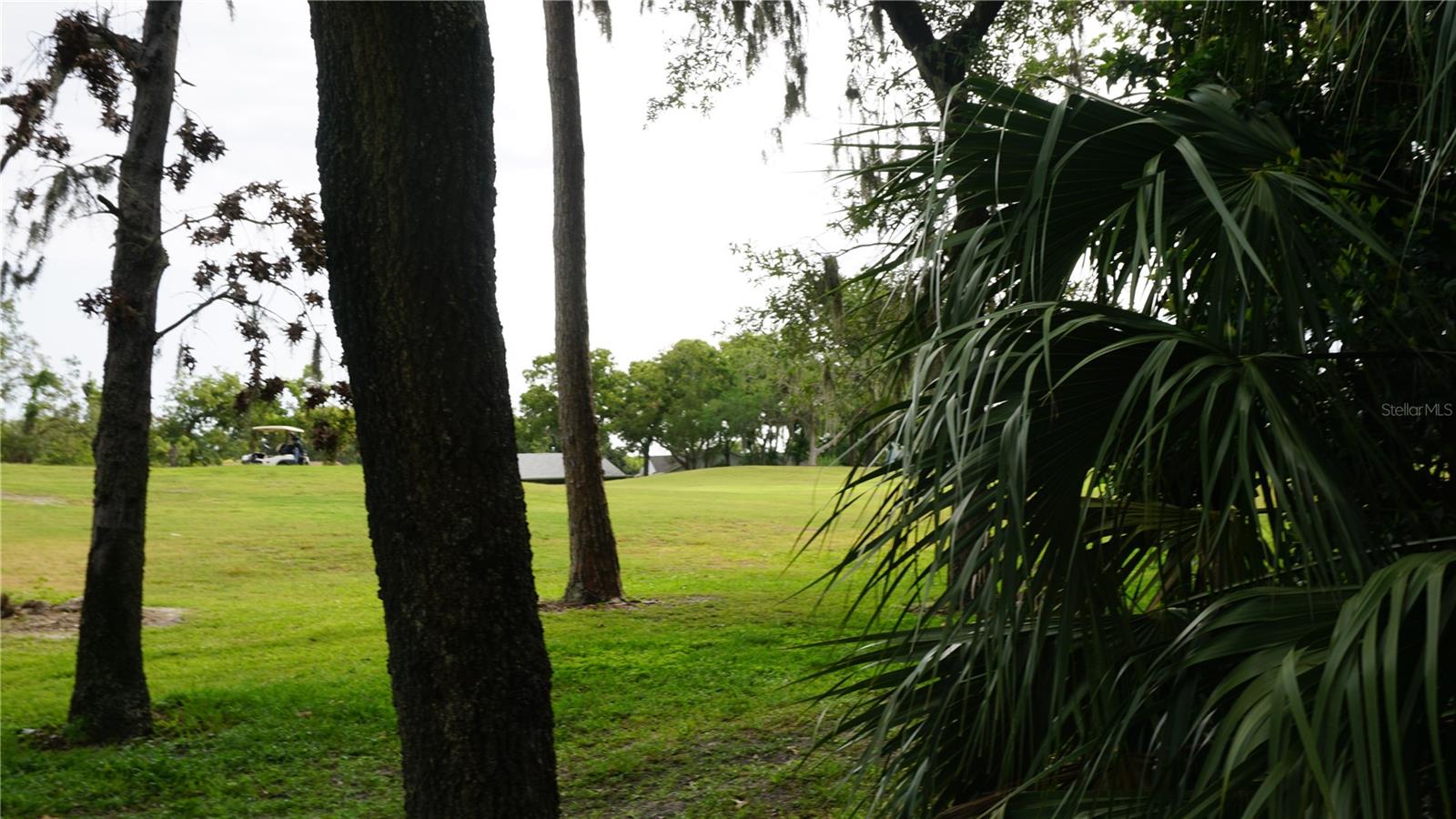 BEACON WOODS WEDGEWOOD CONDO - Residential