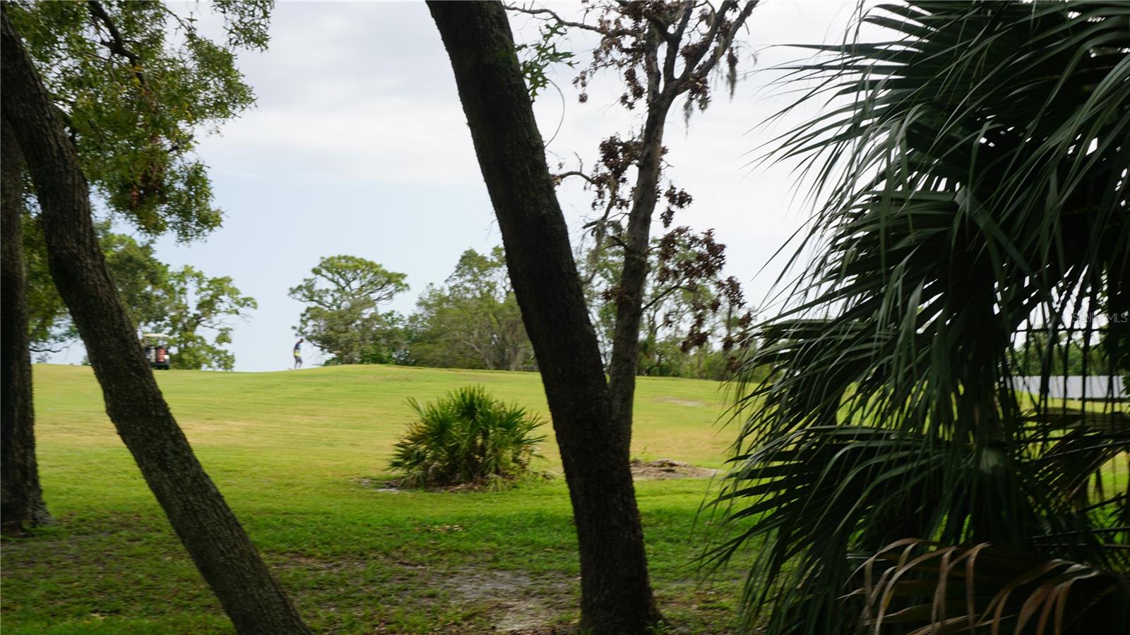 BEACON WOODS WEDGEWOOD CONDO - Residential