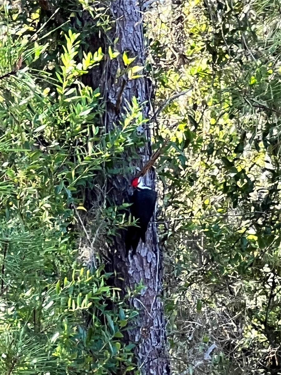 GREEN ACRES ADD - Residential