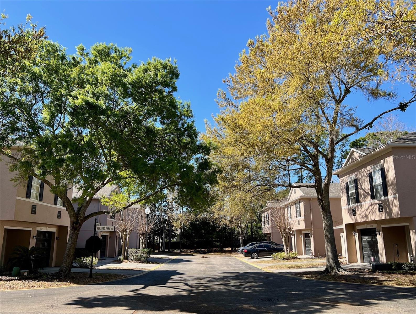 ASHFORD PARK TWNHMS REP ONE - Residential