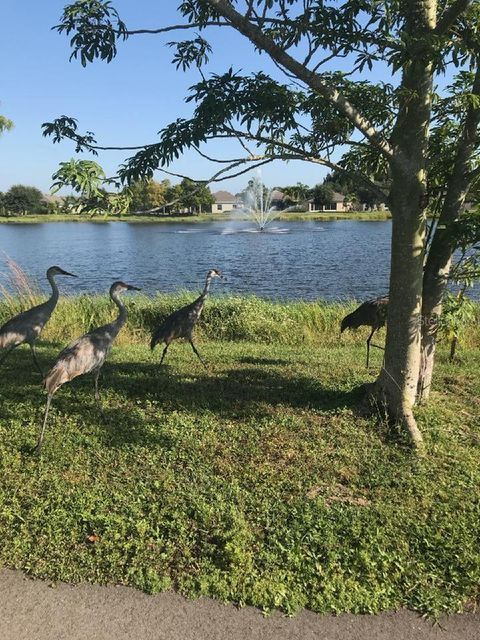 A home in PUNTA GORDA