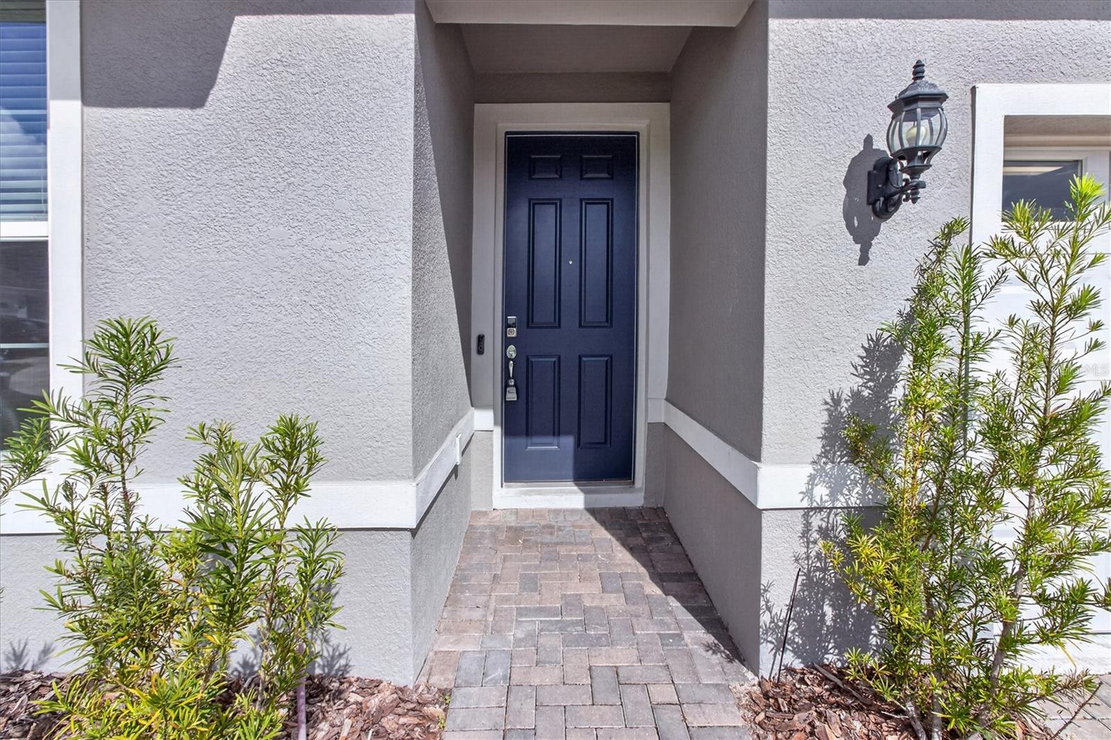 6232 BLUE SAGE LOOP