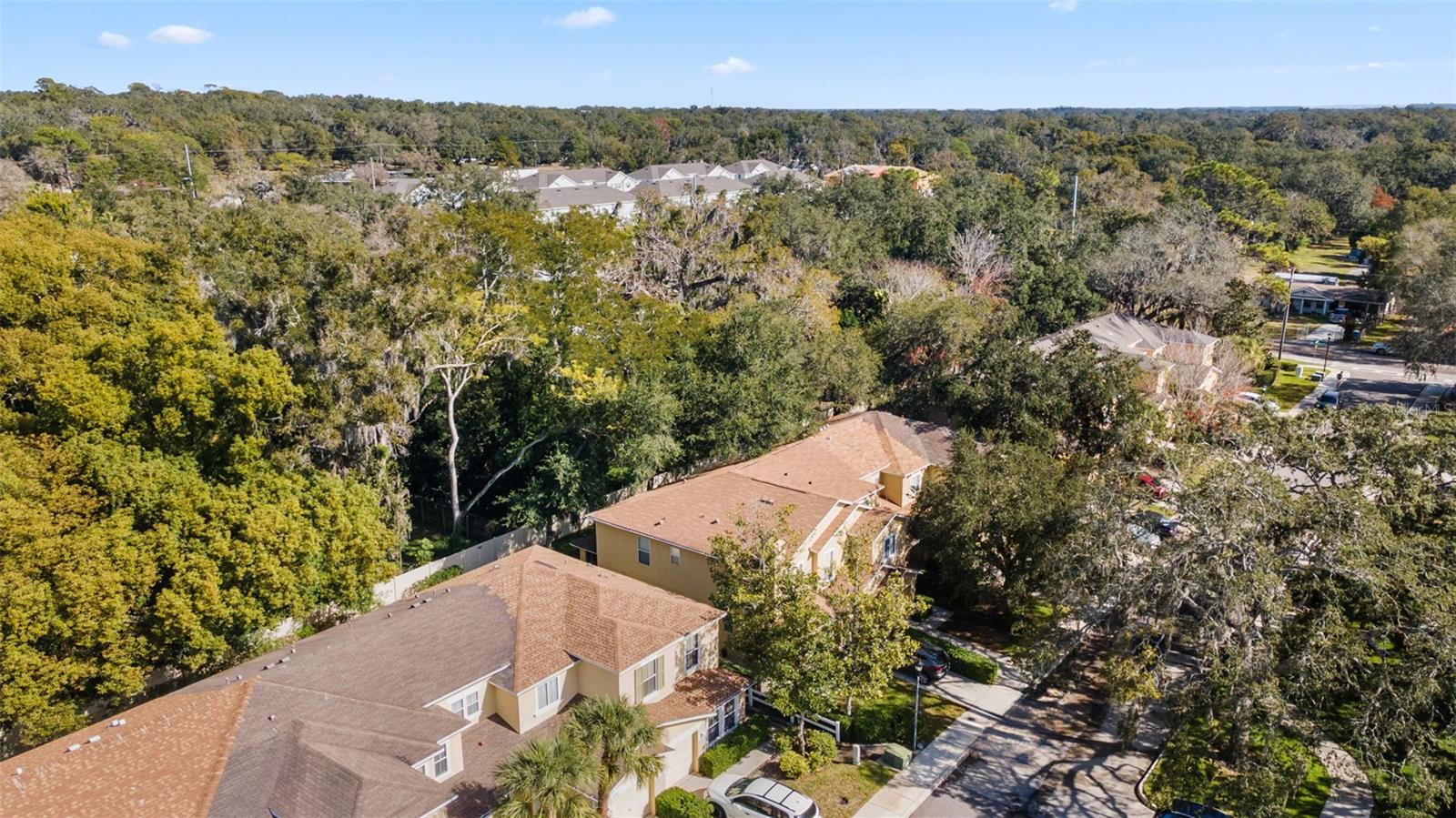 MANGO RIDGE TWNHMS - Residential