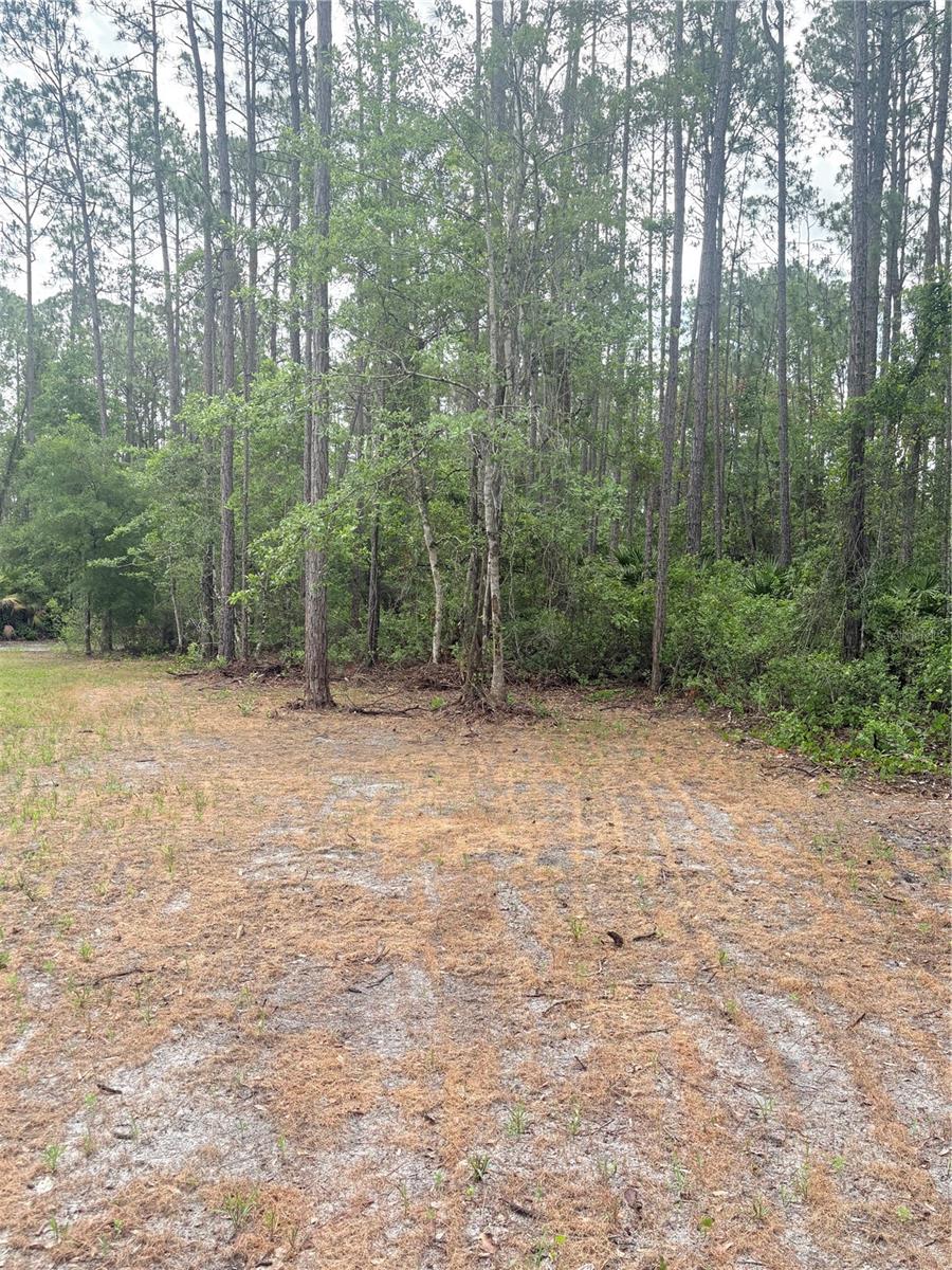 DAYTONA NORTH SUB - Residential