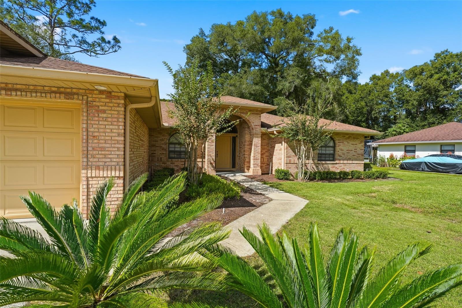 MOUNT PLYMOUTH - Residential