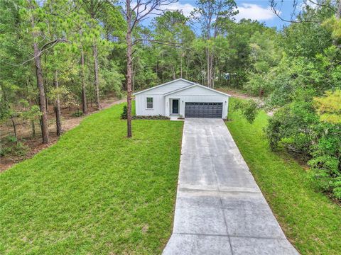 Photo of 4291 SW Kingfish Road, Dunnellon, FL 34431 (MLS # O6329187)