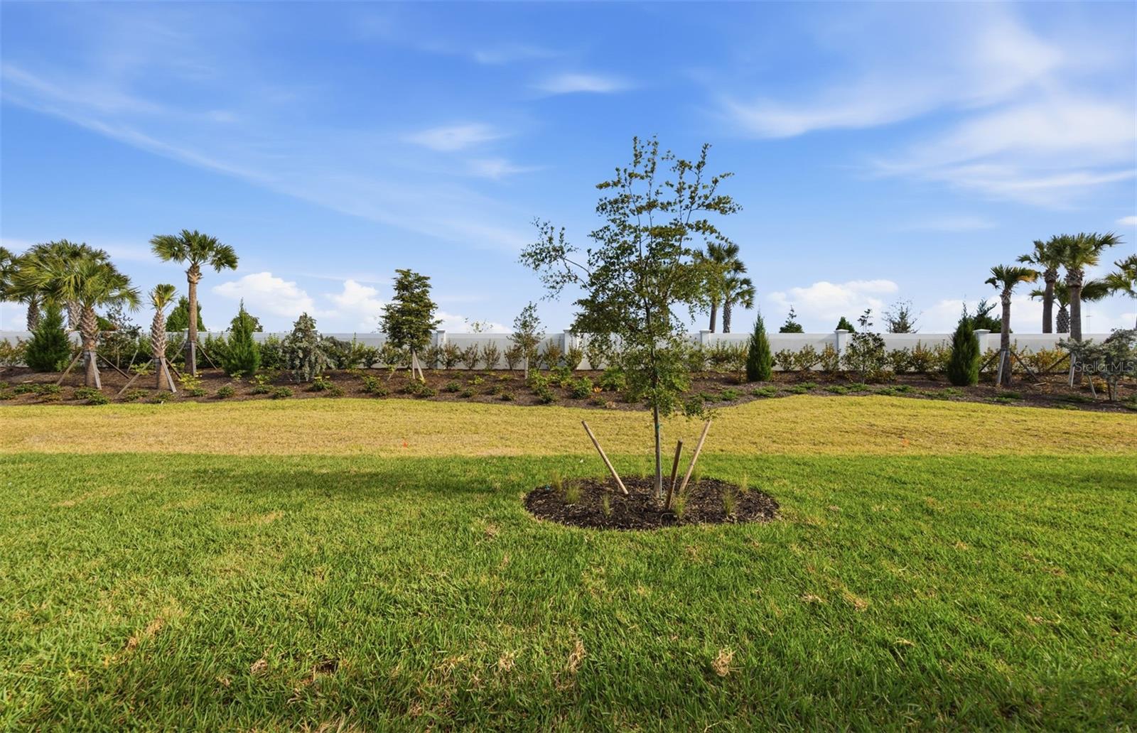 TALON PRESERVE ON PALMER RANCH - Residential