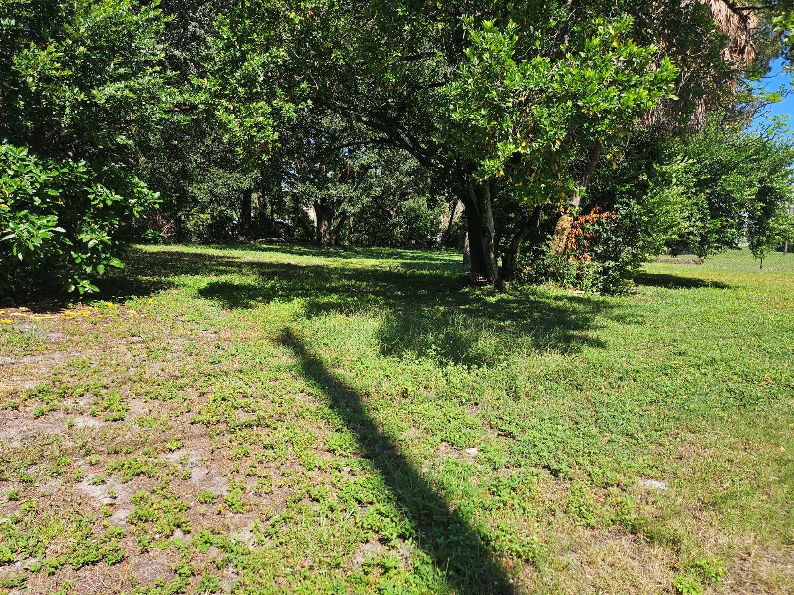 Photo 5 of 6 of 2710 E 10TH AVENUE land