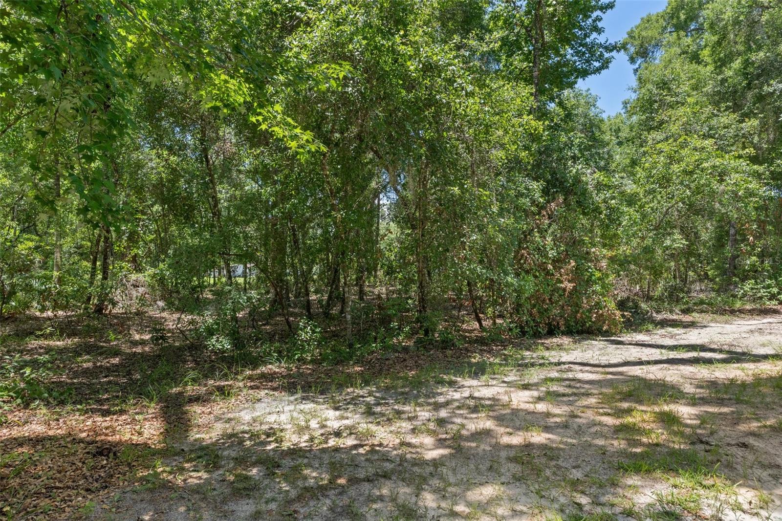 HAMPTON POINT UNREC AKA LOS LOBOS - Residential