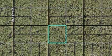 000 DILLON AVENUE HASTINGS FL 32145
