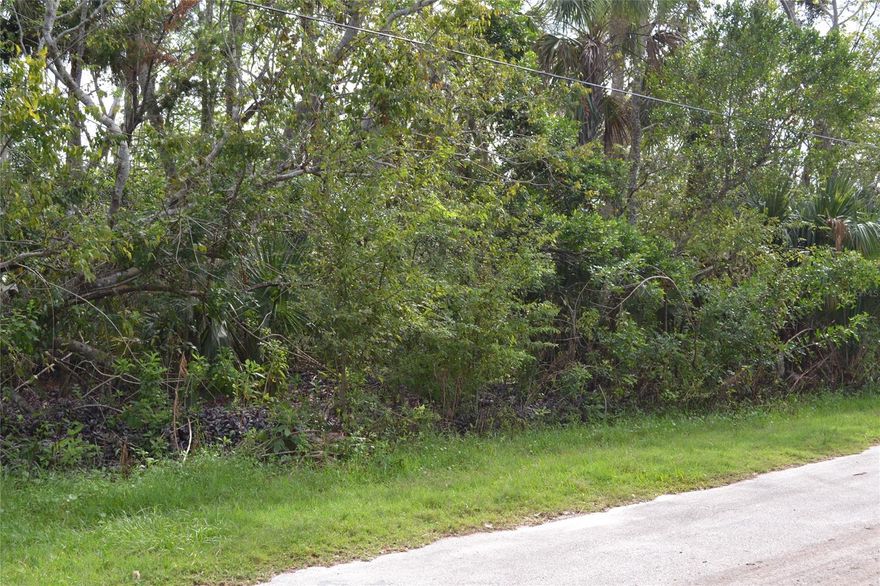 Wooded lot with plenty of shade trees to select from to be made part of your landscape to uplift the beauty of your new home. Lot is surrounded by newer homes in a tranquil neighborhood. Access to the Cory Estates deep water boat ramp located .2 miles from the property. Perfect lot to build on. Need a larger lot? Check out the adjacent Lot Parcel ID #8412-05-00-0500 being sold separately - MLS#1060373.; Cleared: No ;Water: City