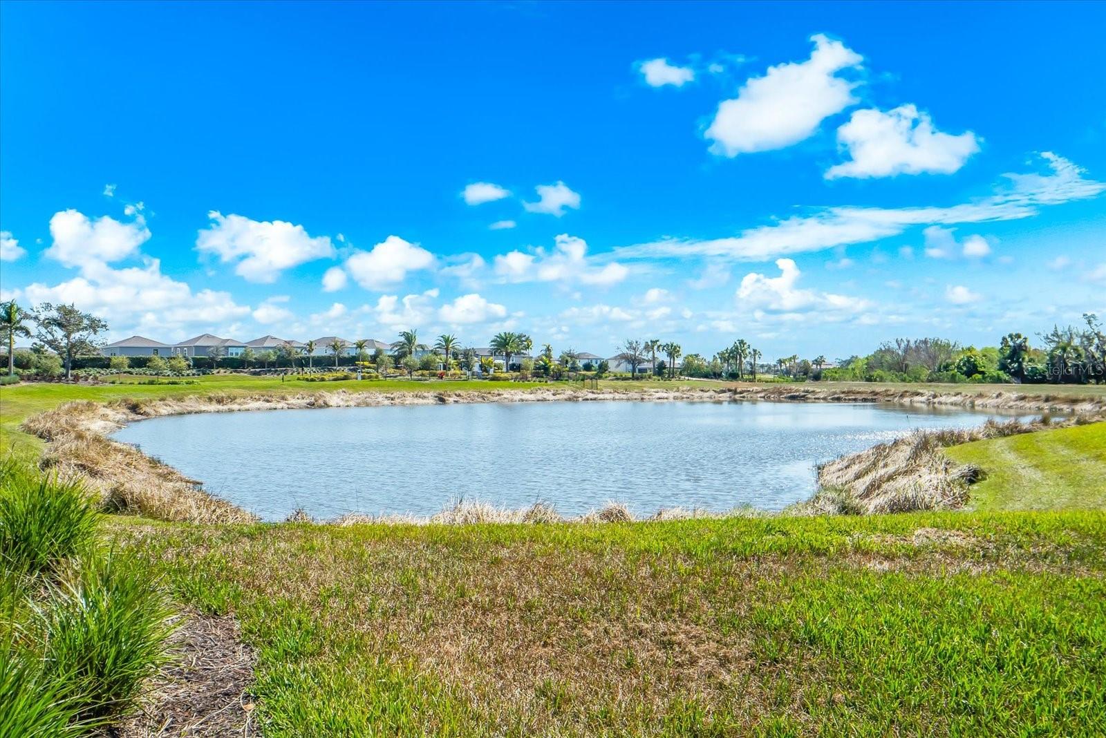 SKYE RANCH NBRHD 2 TWNHMS - Residential