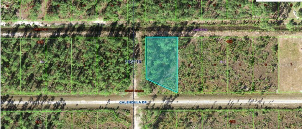 Photo of 624 Calendula Drive, Indian Lake Estates, FL 33855 (MLS # O6312597)